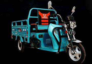 電動(dòng)三輪車(chē)電池